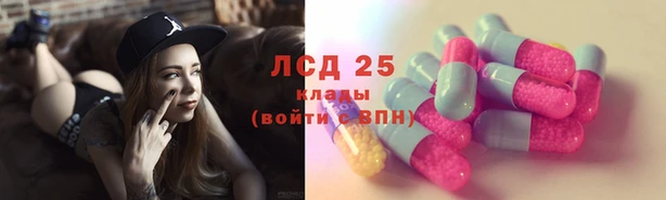 мяу мяу мука Михайлов