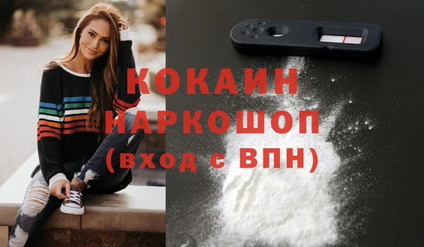 мяу мяу мука Михайлов