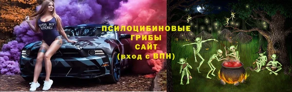мяу мяу мука Михайлов