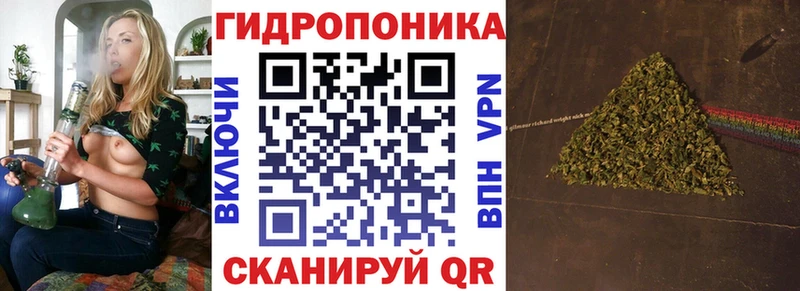 Каннабис семена  где найти наркотики  Вихоревка 
